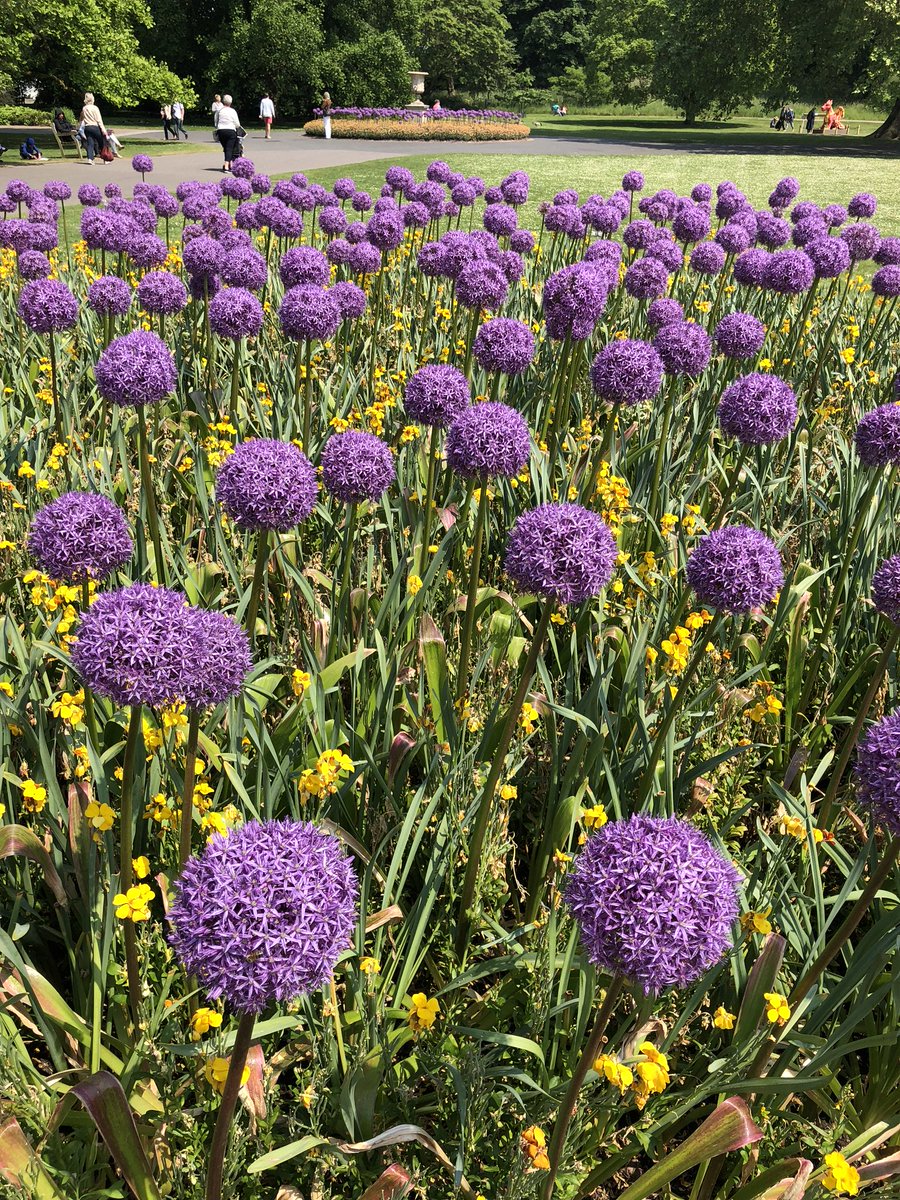 ConservatoryCra's tweet photo. We are here! #2018chelseaflowershow #London #RHSChelsea #GardenersWorld #RHSChelseaFlowerShow #2018gardentour #conservatorycraftsmen #GardenersWorld #GardenFeelGood https://t.co/dsJ1IlLyOa