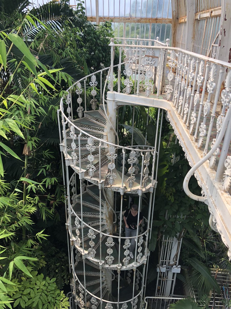 ConservatoryCra's tweet photo. We are here! #2018chelseaflowershow #London #RHSChelsea #GardenersWorld #RHSChelseaFlowerShow #2018gardentour #conservatorycraftsmen #GardenersWorld #GardenFeelGood https://t.co/dsJ1IlLyOa