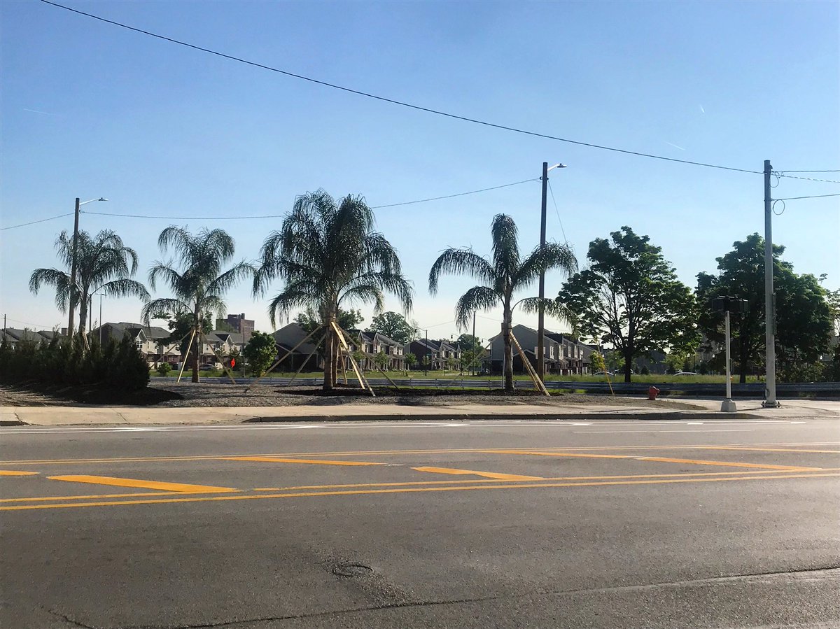 wdet's tweet photo. Hawaii? Nope. It’s Grand River! 🌴🌴 #scenefromdetroit https://t.co/BTHeYMVu8N