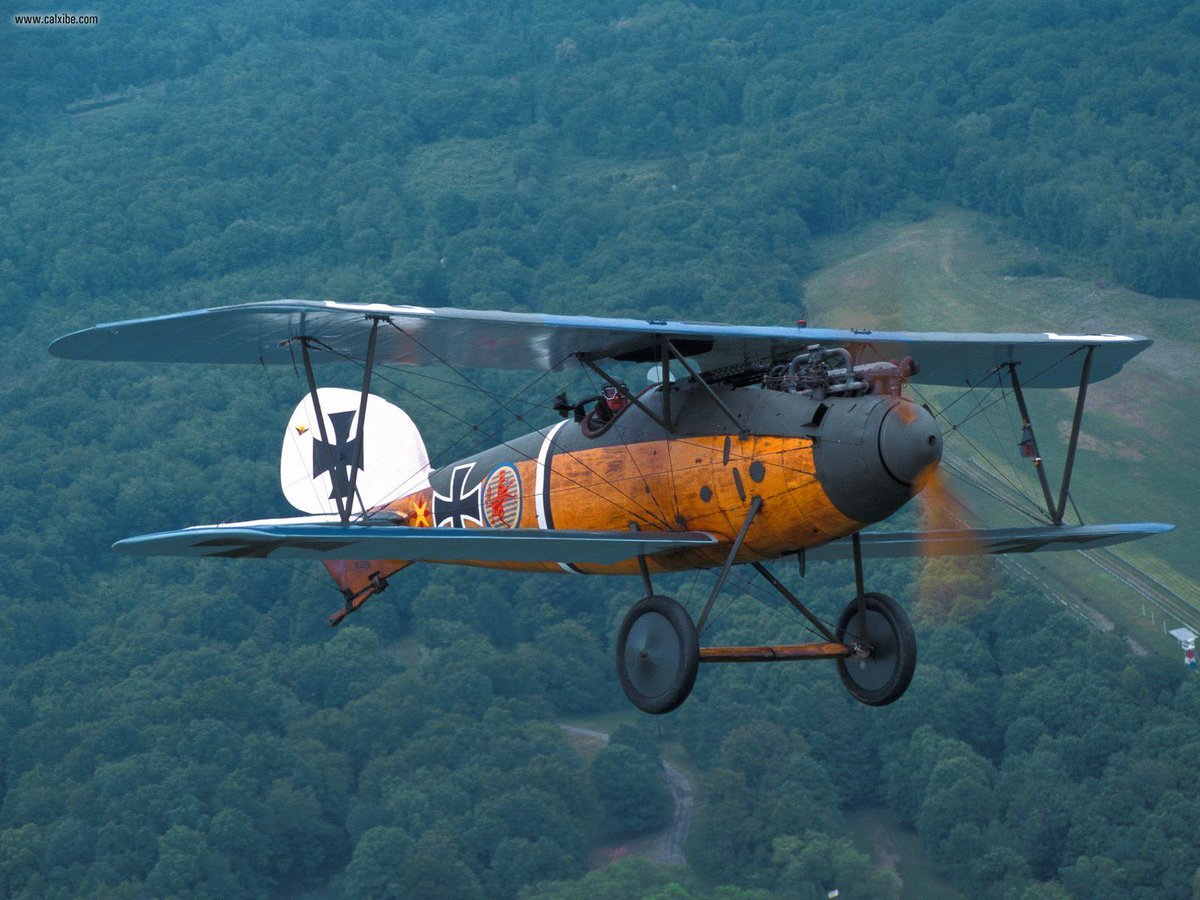 ron_eisele's tweet photo. Replica Albatros Dva https://t.co/25UzZ3h5P4