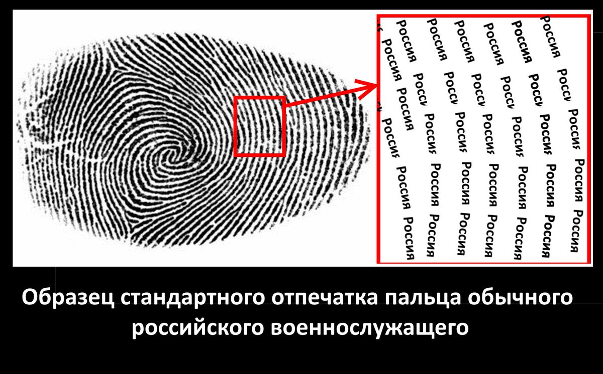 Oleg_Ilchenko's tweet photo. Представитель следственной группы по катастрофе МН17 Паулсен заявил, что им удалось найти отпечатки пальцев российских военных на ракете, поразившей самолет #новости #MH17
В сеть утекли секретные данные - образец стандартного отпечатка пальца российского военнослужащего https://t.co/MmbYBxS9LZ