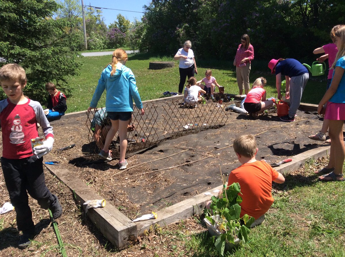 LisaDurepos's tweet photo. The vegetable gardens are in! Thanks to our @ON_EcoSchools team and student volunteers. We are trying to grow the three sisters this year (corn, squash and beans) along with some flowers, peas and celery. @alcdsb_stms #letitgrow #GetOutside https://t.co/Mrvkbr9BLt