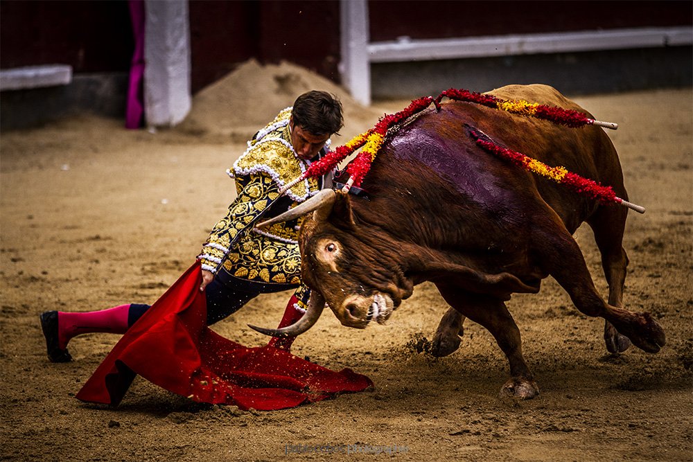 Feria de San Isidro. Día 17.
Julián López "El Juli". Torero.
©Pablo Cobos. Madrid, mayo 2018.