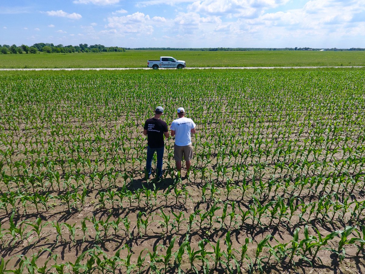 Brent_gerke's tweet image. Trying to get on @TysonDReynolds level and become movie stars 😎 #SmartFarmingIs #MyFarmCommand