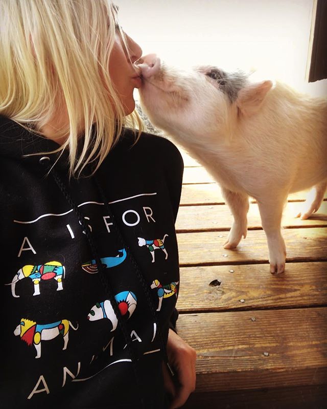 AISFORANIMALS's tweet photo. I kissed a pig and I liked it!💋🐽 💖#Dragonlord @boochaces 🐲👑🐷#HelpUsHelpAnimals #Pigs #Compassion #Rescue #Vegan #Love https://t.co/b74RplZLyY https://t.co/dDvRYxtRWu
