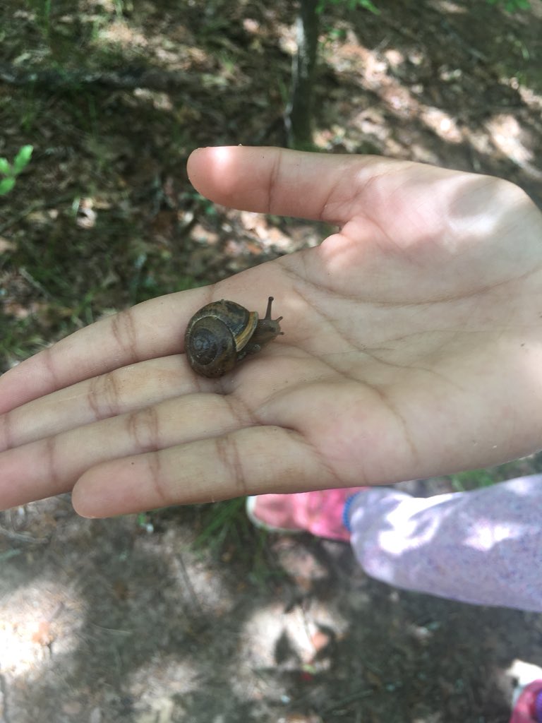 AmyLouWessels's tweet photo. #waexcels   Can’t beat this... Grade three making real world connections to our last unit, Sharing the Planet! https://t.co/I4wxW2Gi8C