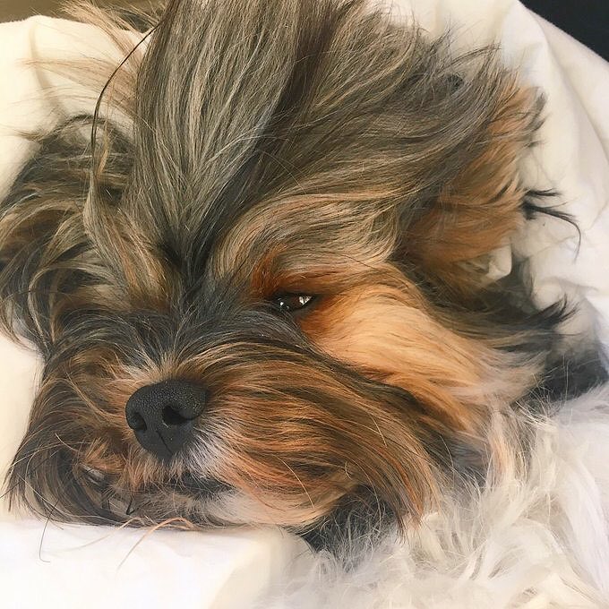 If it rains mainly on the plain, can someone please explain, why clouds are sitting above my head &amp; outside it looks like it's time for bed.