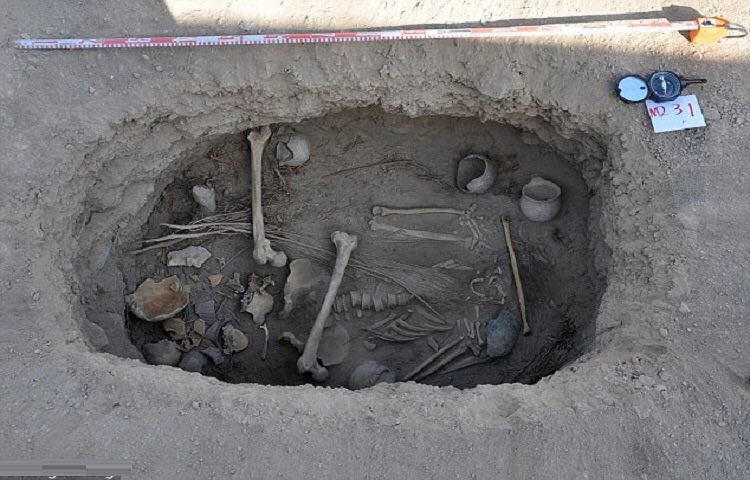 420_evaluations's tweet photo. 2700 years old Ancient Celtic skeleton was found with a #cannabis 

Laboratory analysis showed that the "material' now positively identified the good shit, or psychoactive cannabis, contained #THC 

Find out more here: https://t.co/RXg9noBVhs https://t.co/T3cbdbOxiv