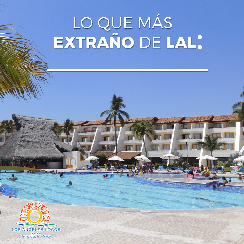 LosAngelesLocos's tweet photo. ¿Estás listo para regresar a #LosÁngelesLocos?  
🏊‍♂️⛹️‍♀️😎🌴🍤☀️🌊 https://t.co/8LTyZ0nedK