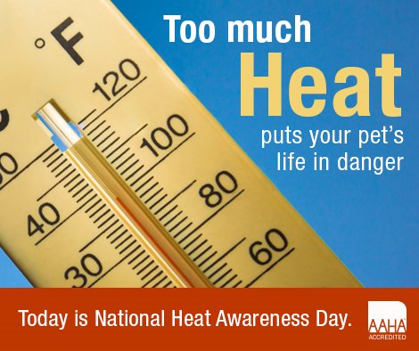 GateCityVet's tweet photo. Do not leave your pets in the car. Even at 75 degrees outside, inside the car can reach 94 degrees within 10 MINUTES and 105 degrees within 30 MINUTES! Leave your pet at home, not in your car.
#heatkills #gatecityvet https://t.co/Xc6wedP5bq