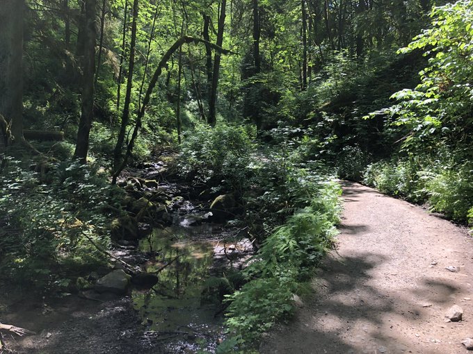 Hiked my favorite trail in Portland today! ;) @teambrian2016 #ThursdayThoughts #hiking #traillove #outdoorsy<a href="/tag/hiking"class="tags"><span>#hiking</span></a><a href="/tag/thursdaythoughts"class="tags"><span>#thursdaythoughts</span></a><a href="/tag/funinthesun"class="tags"><span>#funinthesun</span></a><a href="/tag/outdoorsy"class="tags"><span>#outdoorsy</span></a>