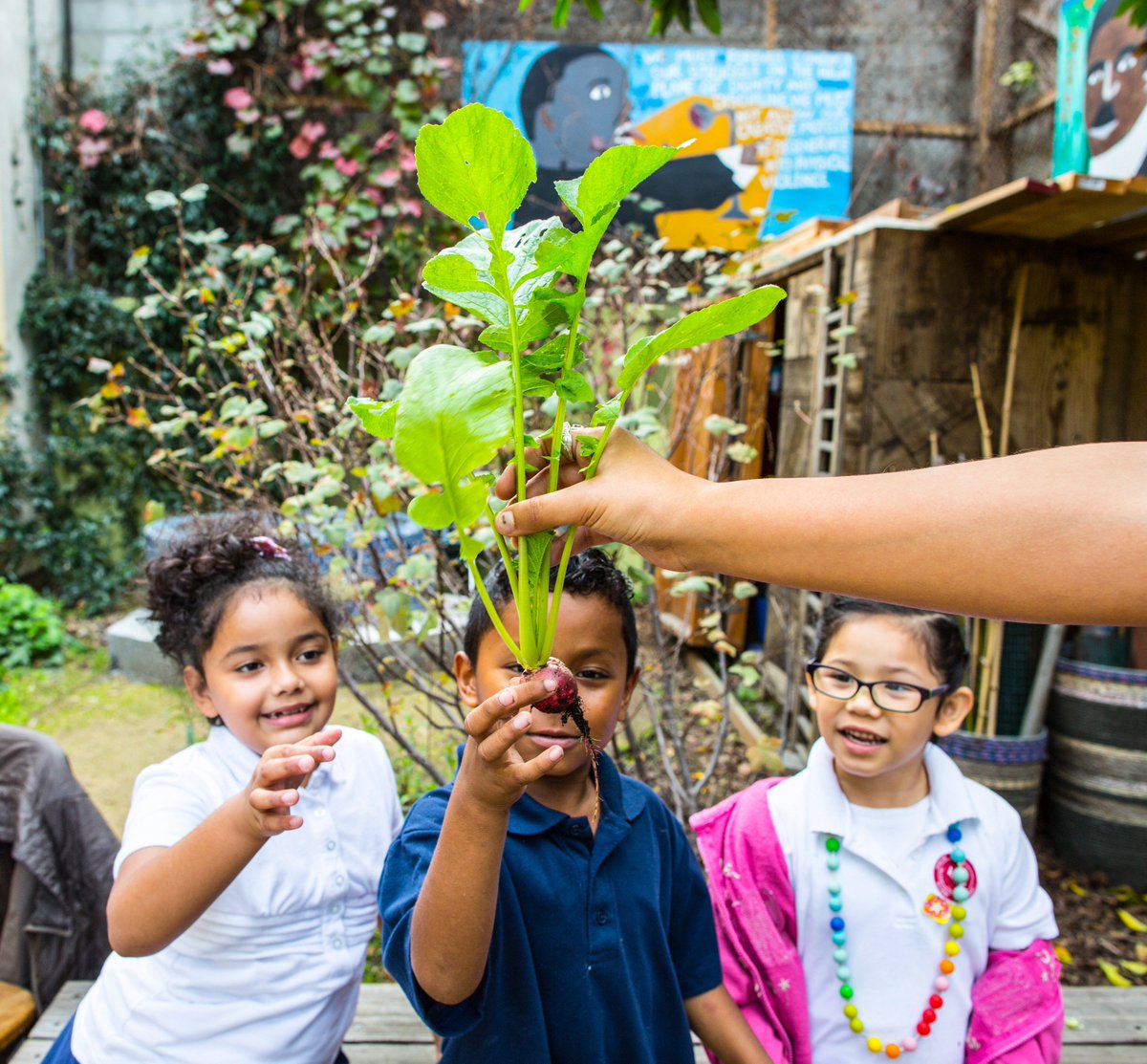 Education Outside 🎓🌱 tweet media