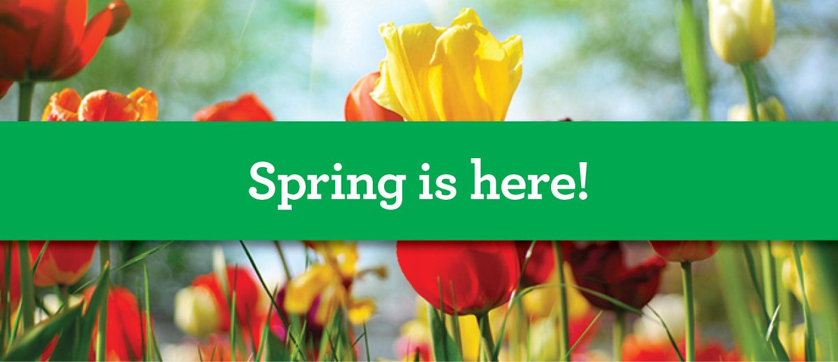 GreenDropLtd's tweet photo. Now that the flowers are in bloom, our GreenKeepers are coming to your neighbourhood to make lawns beautiful again!

If you have already prepaid please review our spring lawncare tips. If you haven’t prepaid it’s not too late! #itsbeautifuloutside https://t.co/s5KnjTtdQf https://t.co/awf32drsEO