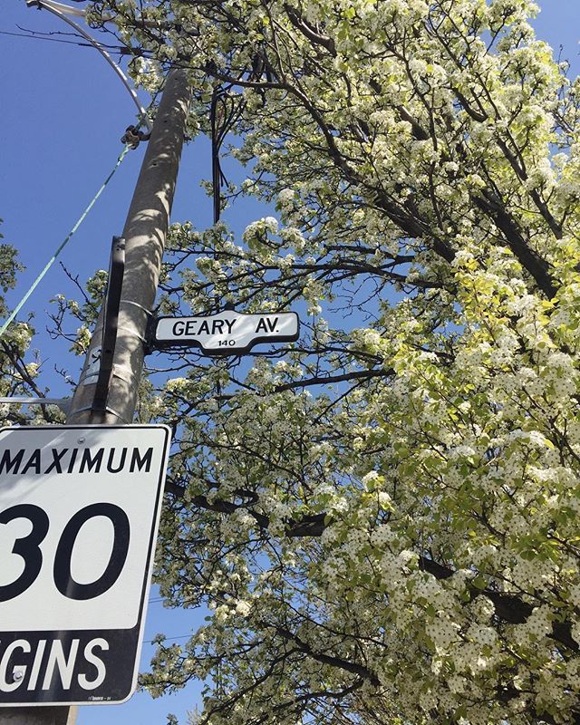 Full sun and blooms in our beautiful neighbourhood today✨ Come visit us! ift.tt/2s7RAeM