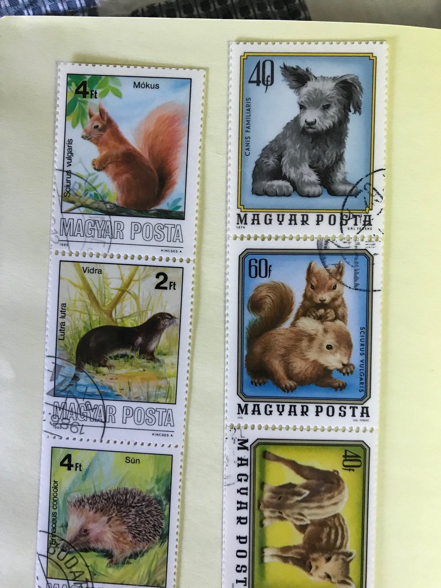 sciuridaely's tweet photo. What a great idea! Stamps turned into bookmarks. These two feature #squirrels! #SquirrelsOfTheWorldUnite! https://t.co/5qVt0s2wcP