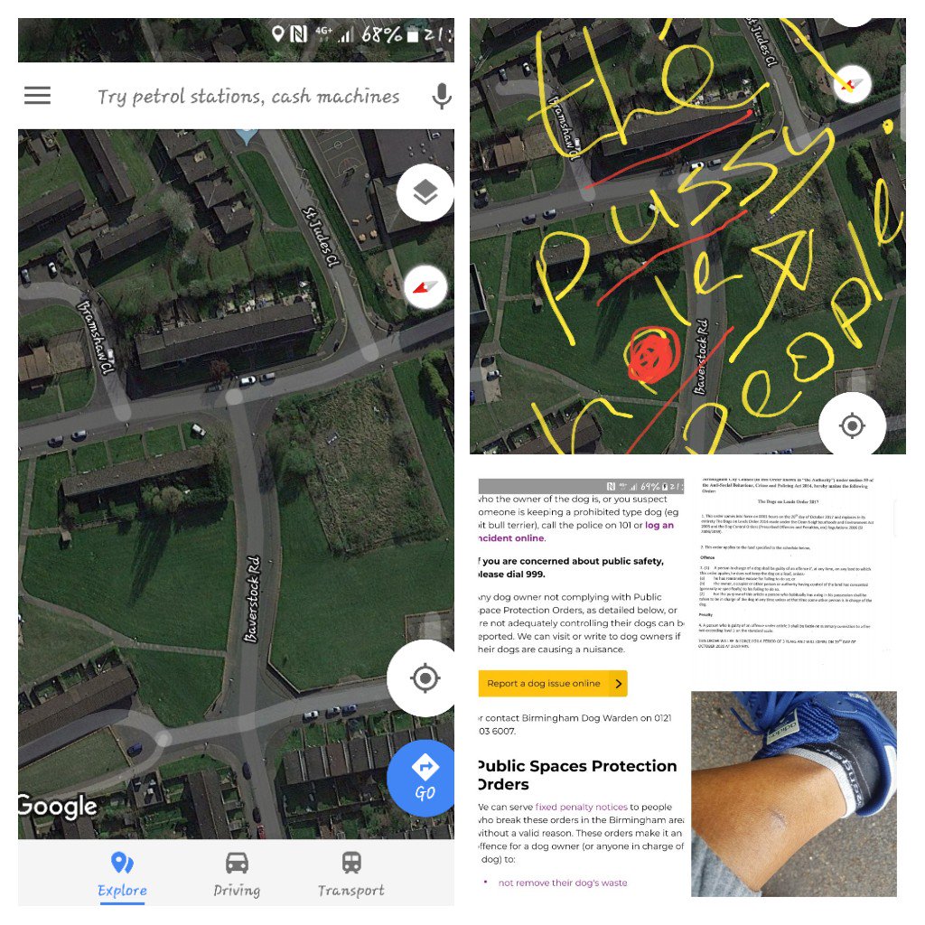 Robbear5's tweet image. The owner is a silm gym class A pick