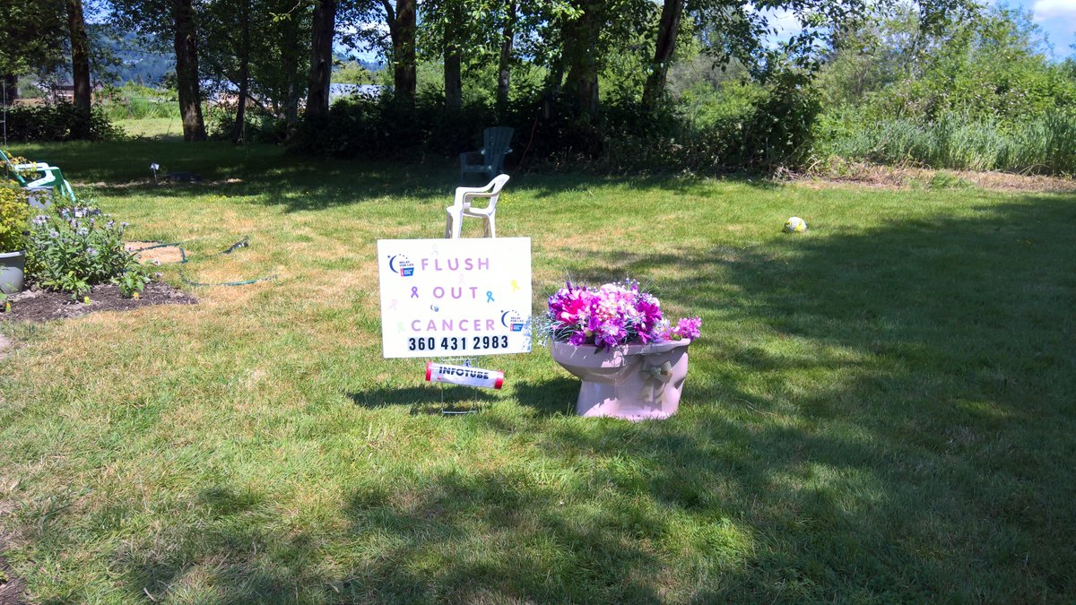 kelricmorgan's tweet photo. So what happens if you want to send the toilet 🚽 to someone on a dead end street? Picture shared so all can enjoy #FlushOutCancer #RelayForLife @Sutherland214 @TamaraRoden https://t.co/tkO0DVIC0K