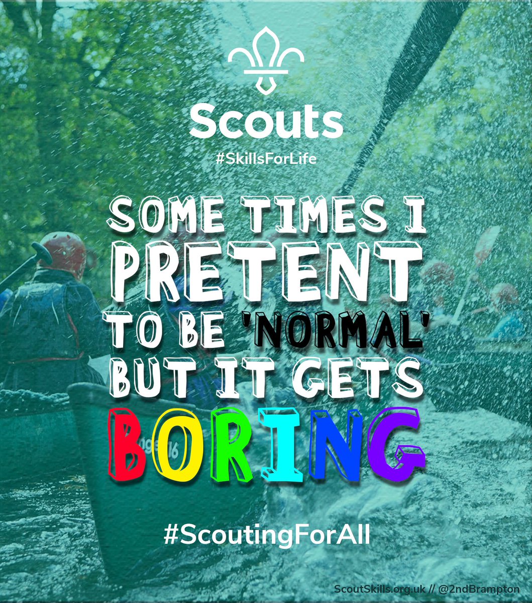 #ScoutSkills tweet media
