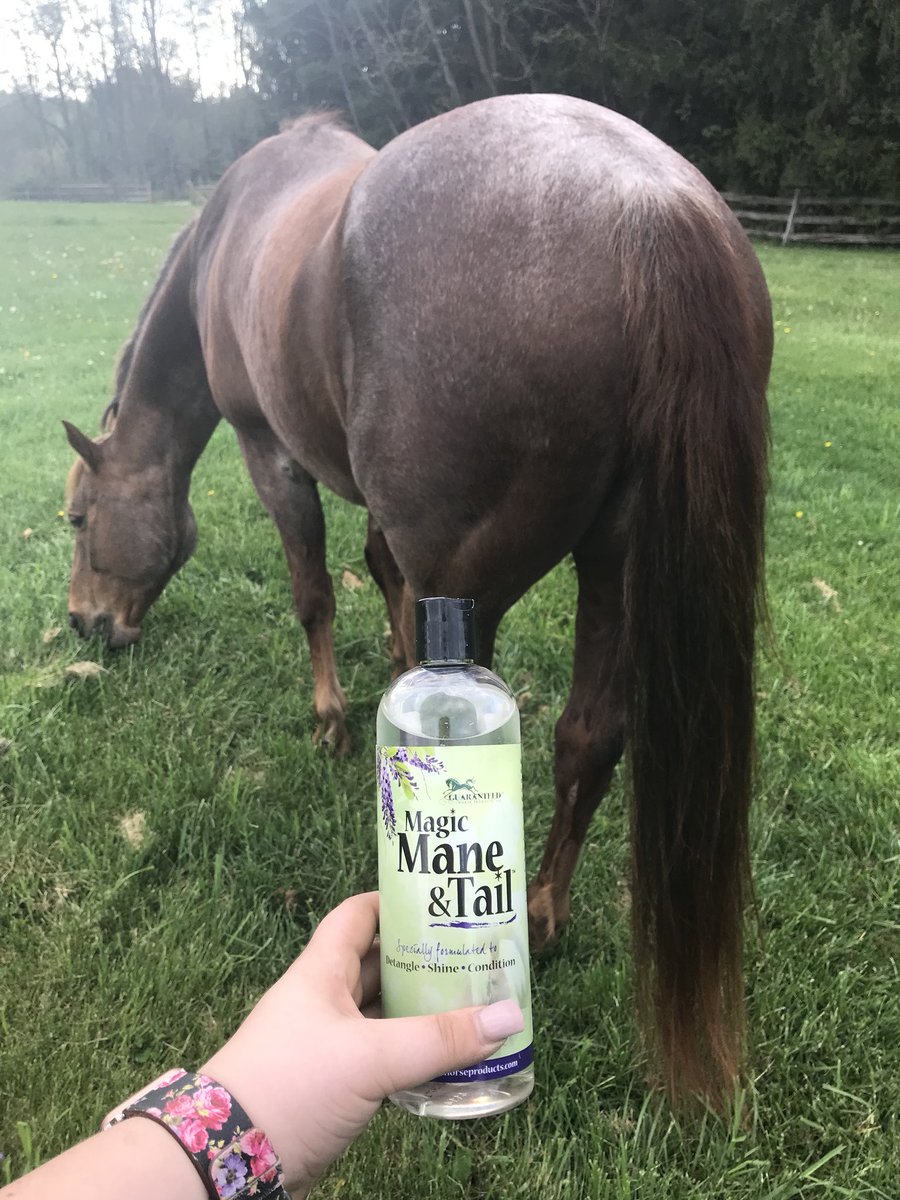 FlyByePlus's tweet image. Magic Mane &amp;amp; Tail is the absolute most amazing product out there! Our special formula is all natural and it is all cosmetic grade ingredients so you can use it on your own hair! This is the only product out on the market that DOESN’T use silicone to detangle!