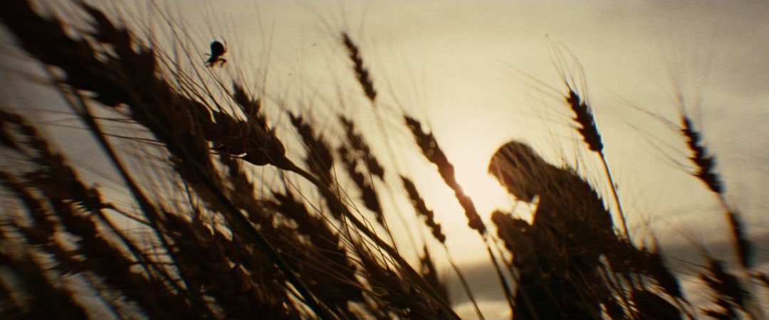 Happy birthday Roger deakins   