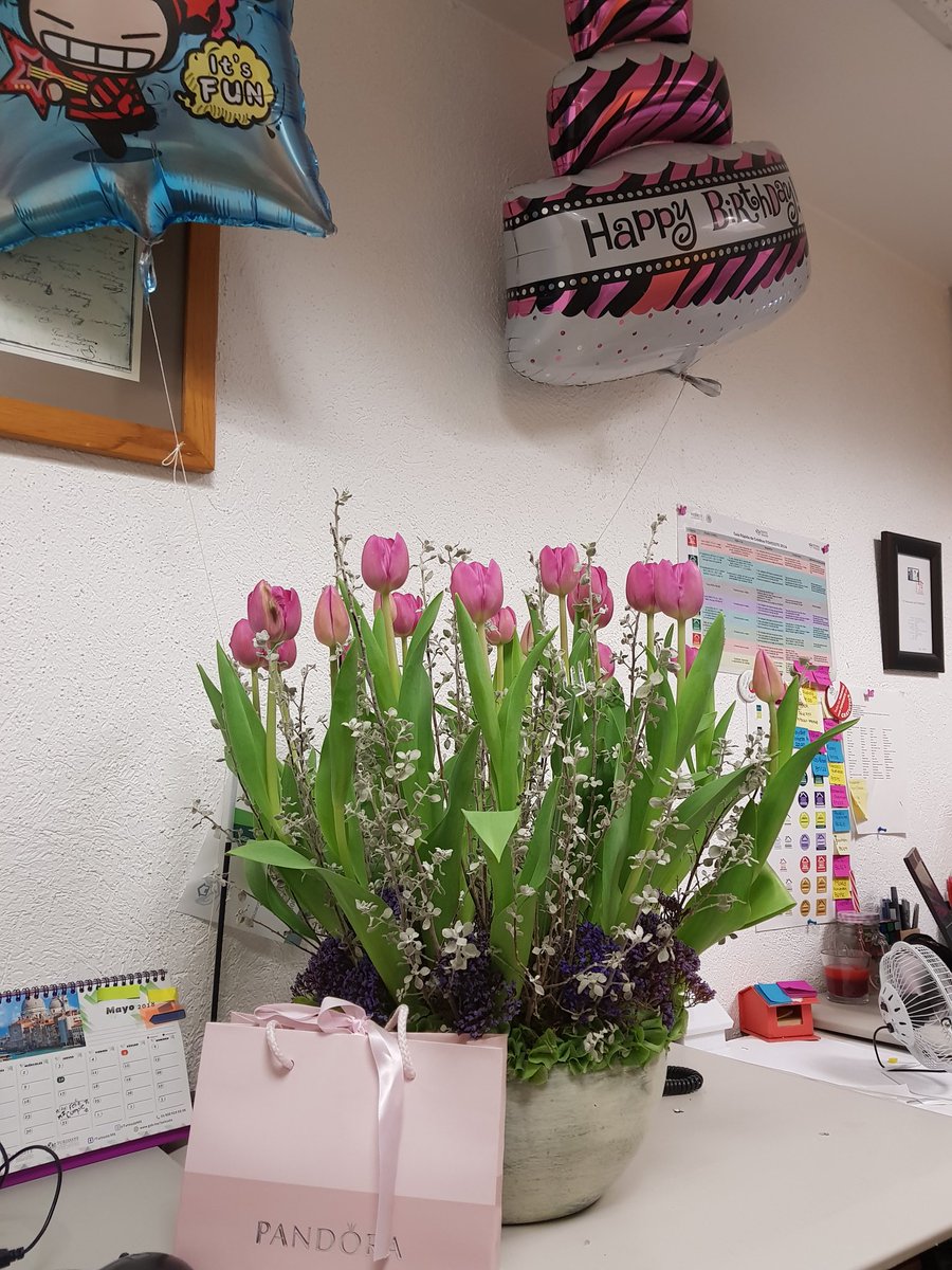 Natthe24's tweet photo. ¡Gracias vida, gracias Dios por un increíble cumpleaños! 🍺🍰😍⚘ #NatWin https://t.co/4Ed02wkohe