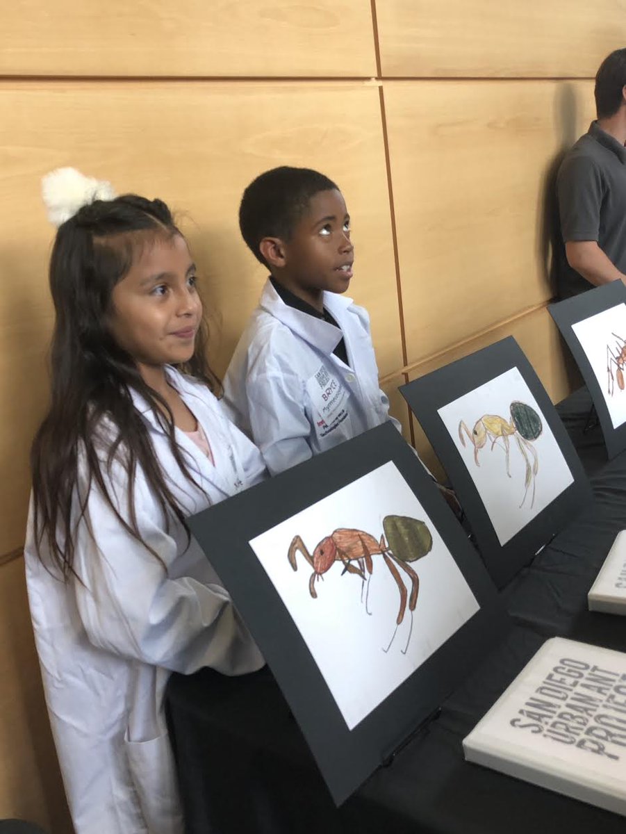 ucsdbiosciences's tweet photo. During a recent visit to @UCSanDiego, High Tech High students presented research for the San Diego Urban Ant Project, a collaboration with Biology Prof David Holway and others. The project maps the presence of Argentine Ants, which have impacted local habitats and native ants. https://t.co/fjHdCOh6IB