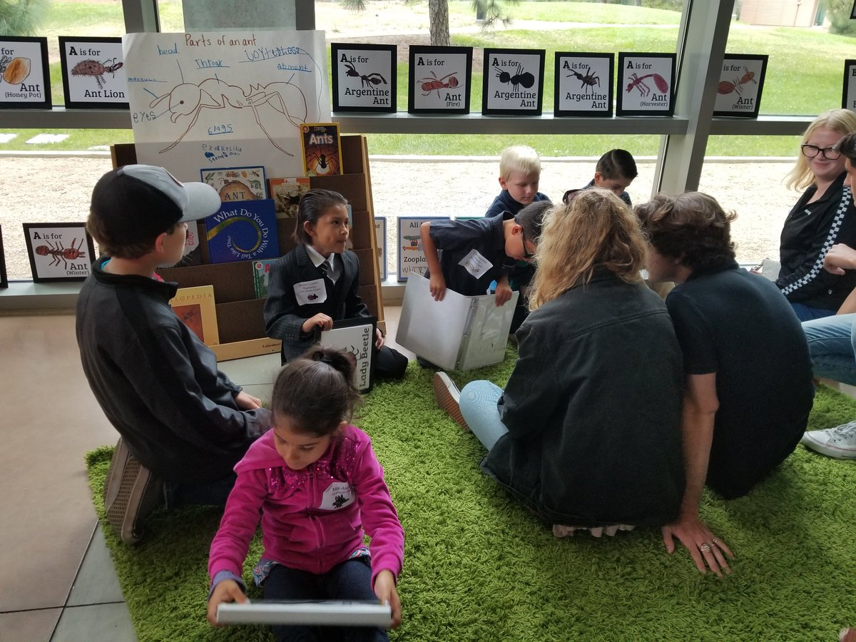 ucsdbiosciences's tweet photo. During a recent visit to @UCSanDiego, High Tech High students presented research for the San Diego Urban Ant Project, a collaboration with Biology Prof David Holway and others. The project maps the presence of Argentine Ants, which have impacted local habitats and native ants. https://t.co/fjHdCOh6IB