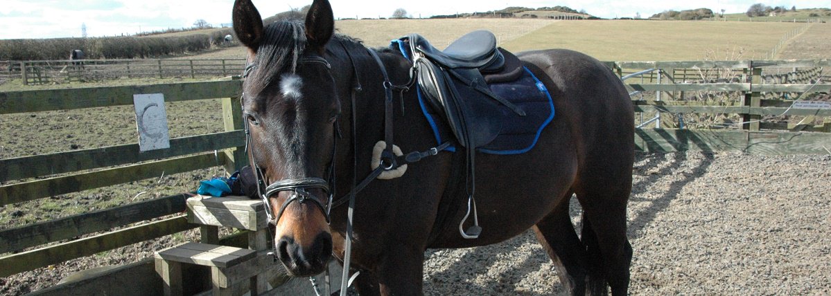 Tips for Gaining Confidence dlvr.it/QV0bJP