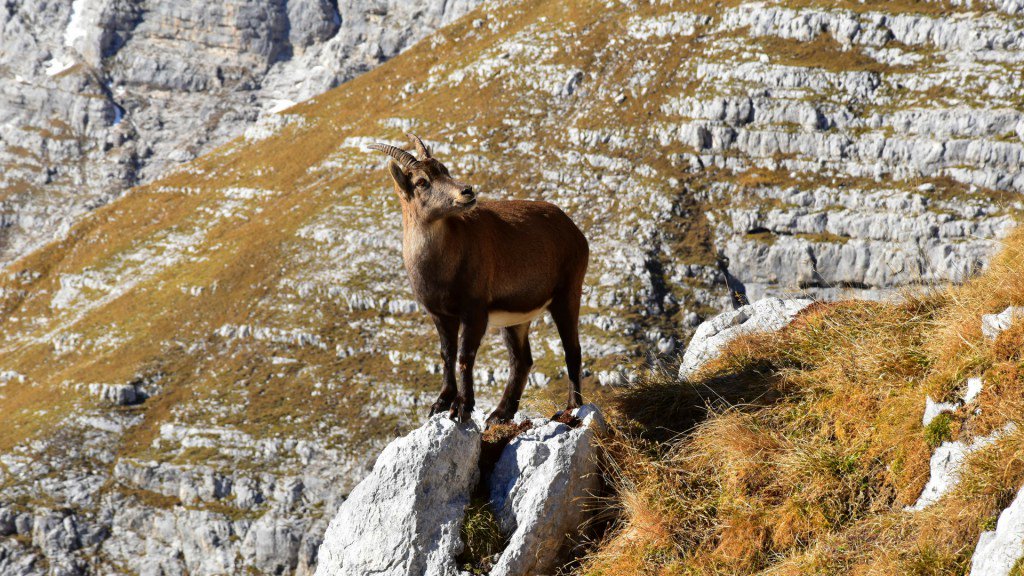 TriChuck's tweet image. Mat Weighs in on Weight v. Aero oldandonyourleft.com/2018/05/24/mat…