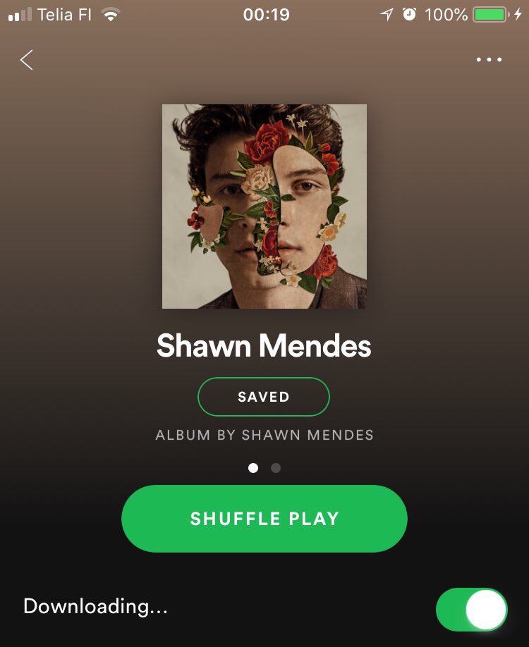 Mattdicted's tweet photo. Going to sleep with this piece of art #ShawnMendesTheAlbum tonight 💚 Thank you @ShawnMendes 💚 What a dream https://t.co/AhZhnaUZQi