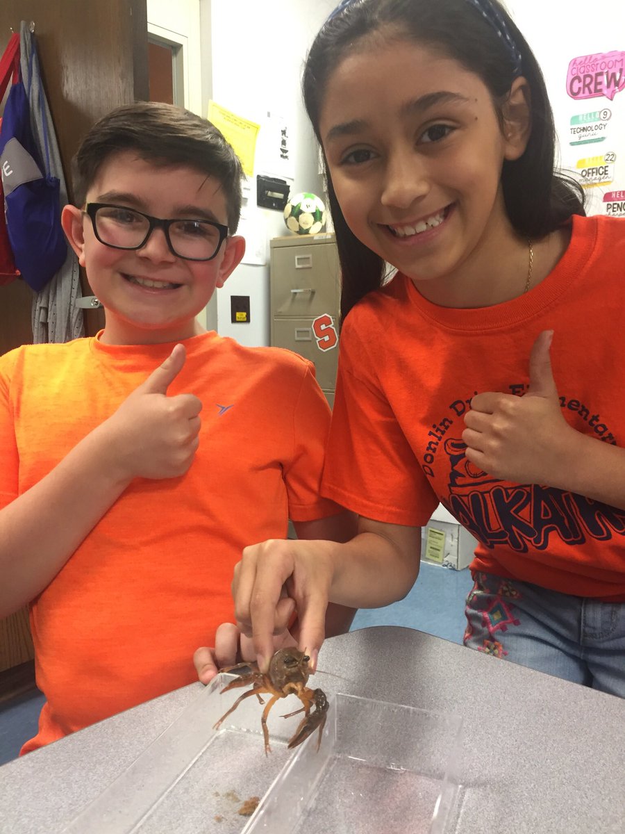 MCarrollSRE's tweet photo. Happy Memorial Day Weekend from the Cray-Crays of room 121! https://t.co/UXMwmhRnib