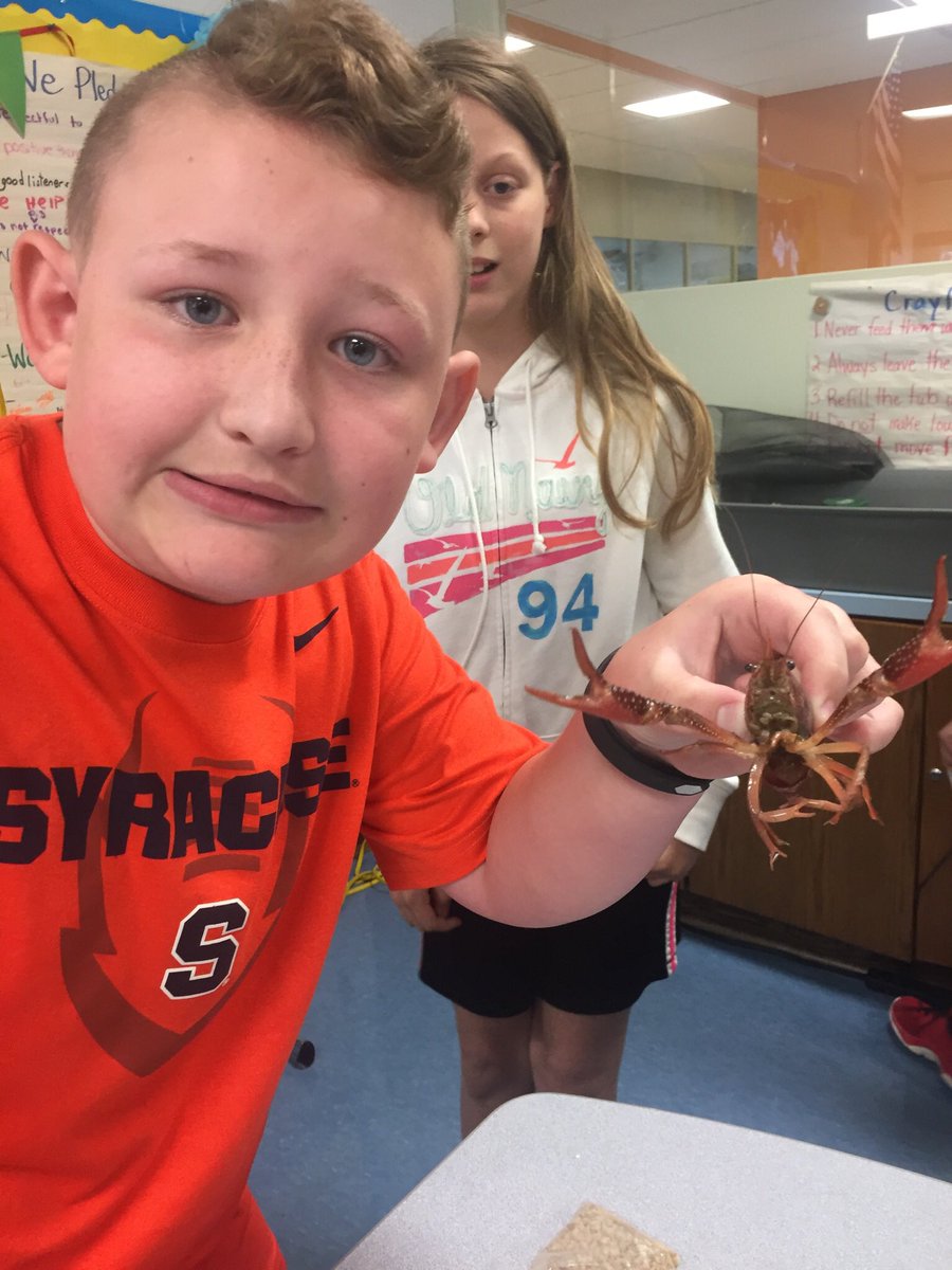 MCarrollSRE's tweet photo. Happy Memorial Day Weekend from the Cray-Crays of room 121! https://t.co/UXMwmhRnib