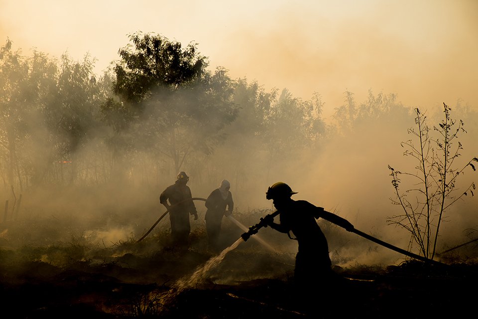 SafetyBoss56's tweet photo. Hiring NFPA 1051 Wildland Firefighter
#jobs #hiring #wildfire #firefighter #safetyboss #forestfire https://t.co/hBKefhtVfq https://t.co/uhqu6GXVXC
