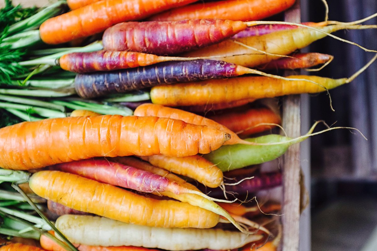 The VegFest team is hard at work planning for September, {and snacking on carrots}, but we need your help! Don’t forget to tag your favorite veg-friendly restaurants, veg-loving brands, or veg-curious friends! Head to our website to sign up as a vendor, volunteer, or sponsor!