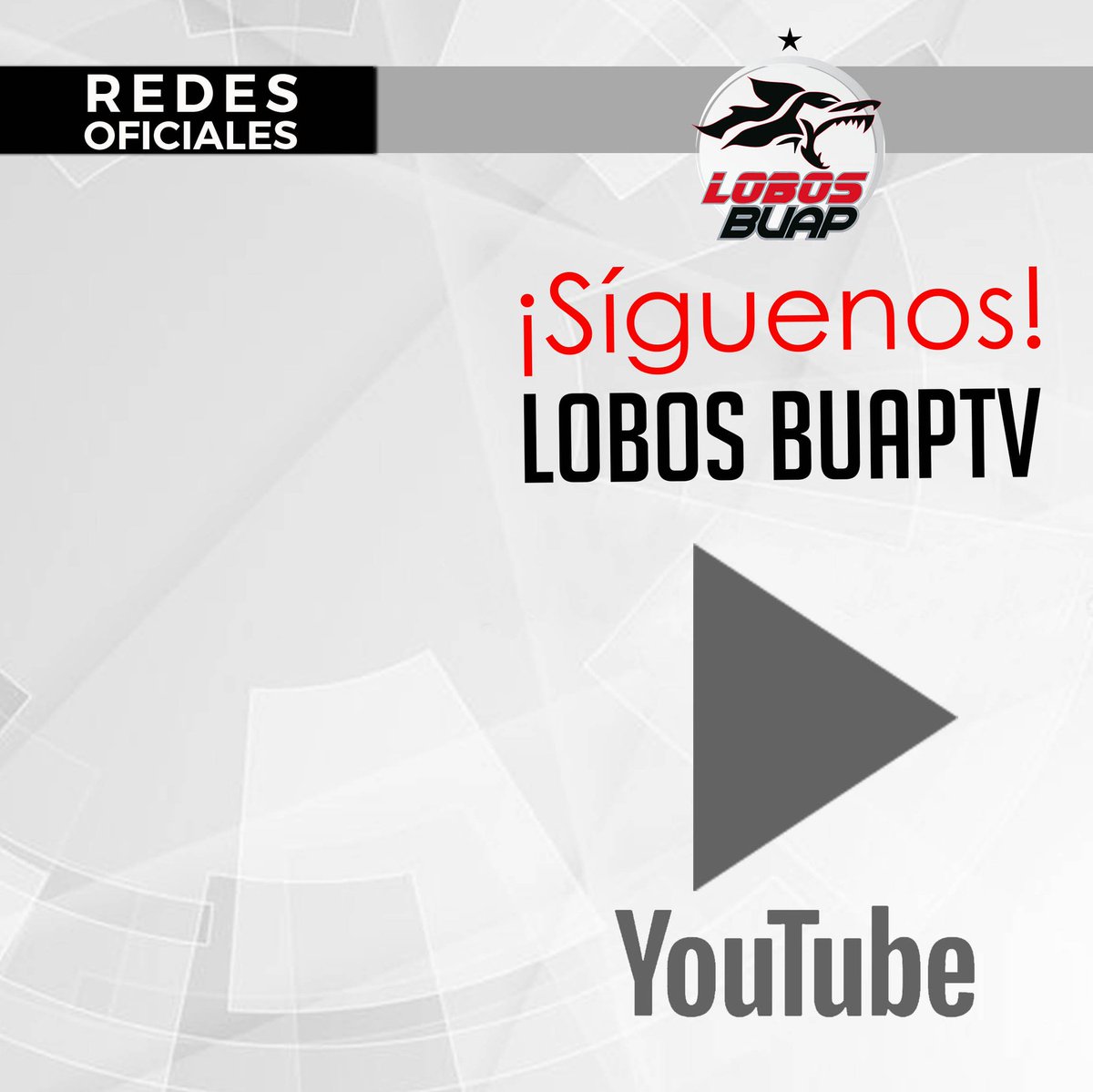 LobosBuapMX's tweet photo. ¡Síguenos en YouTube!
https://t.co/lPpAnBpEVC
#LobosBUAPTv📺 https://t.co/W4llnp04FQ