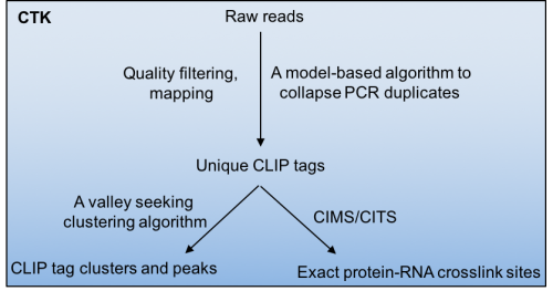 chaolinzhang's tweet photo. Glad to announce the release of CTK v1.0.8,  a major update with various improvement, including improved stability and simplification of pipeline. Also features step-by-step tutorials for several major #CLIP protocols. #proteinrnainteractions, #CLIP, #CTK https://t.co/K5bP9JvswX https://t.co/RqzA7occDB