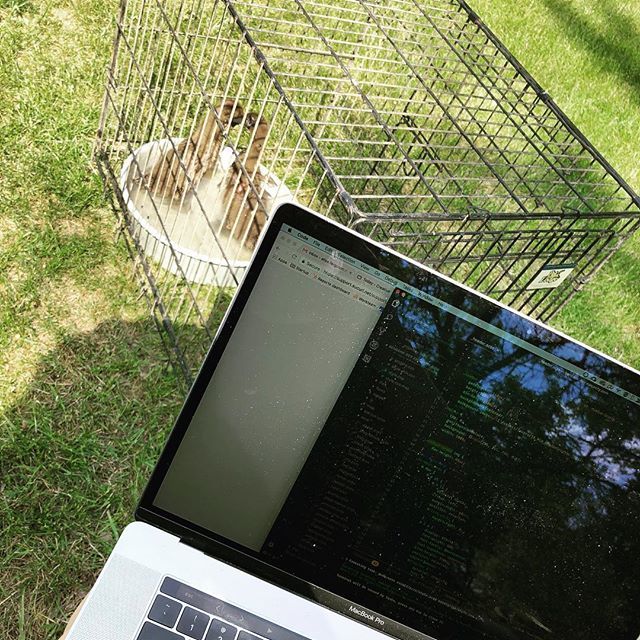 egf's tweet photo. Last minute site fixes during baby dick bath time. #workfromhomemom #developermom #womenintech #womenwhocode #momscancode #ducksintech https://t.co/y8kJbXa52p