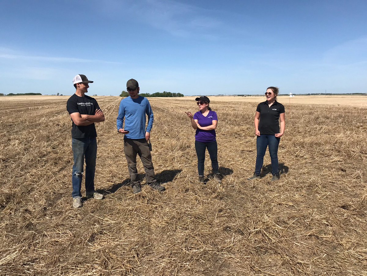 ProvenSeed's tweet photo. Seeding #canola near Clavet, SK this week! Follow the #ProvenPerformanceTrials across the Prairies and discover the seed that will help make your next season even better! https://t.co/f9Z64e1DJ5 #WestCdnAg #SeedTrials #SKag #Plant18 [📷: @BLummerding] https://t.co/zDdzp3BR7g