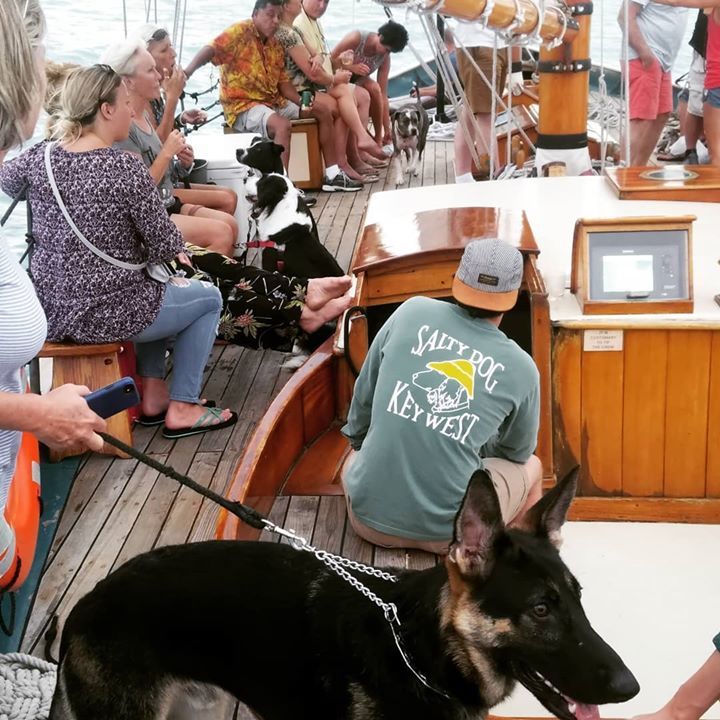 HinduCharters's tweet image. We had a dog cruise last night 5 dogs!
#hinducharters #sunsetkeywest #dogslife #nautidog #keywest