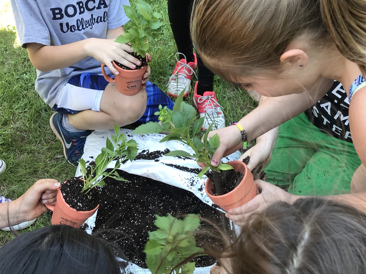 MrsMontemurro's tweet photo. Annuals? Perennials? Dahlia tubers? Expert landscaper Giles Vaughn & Walking Project sponsor provides tips for the beginning gardener๐บ #YardApes @SnisWalking https://t.co/de66ugyDAw