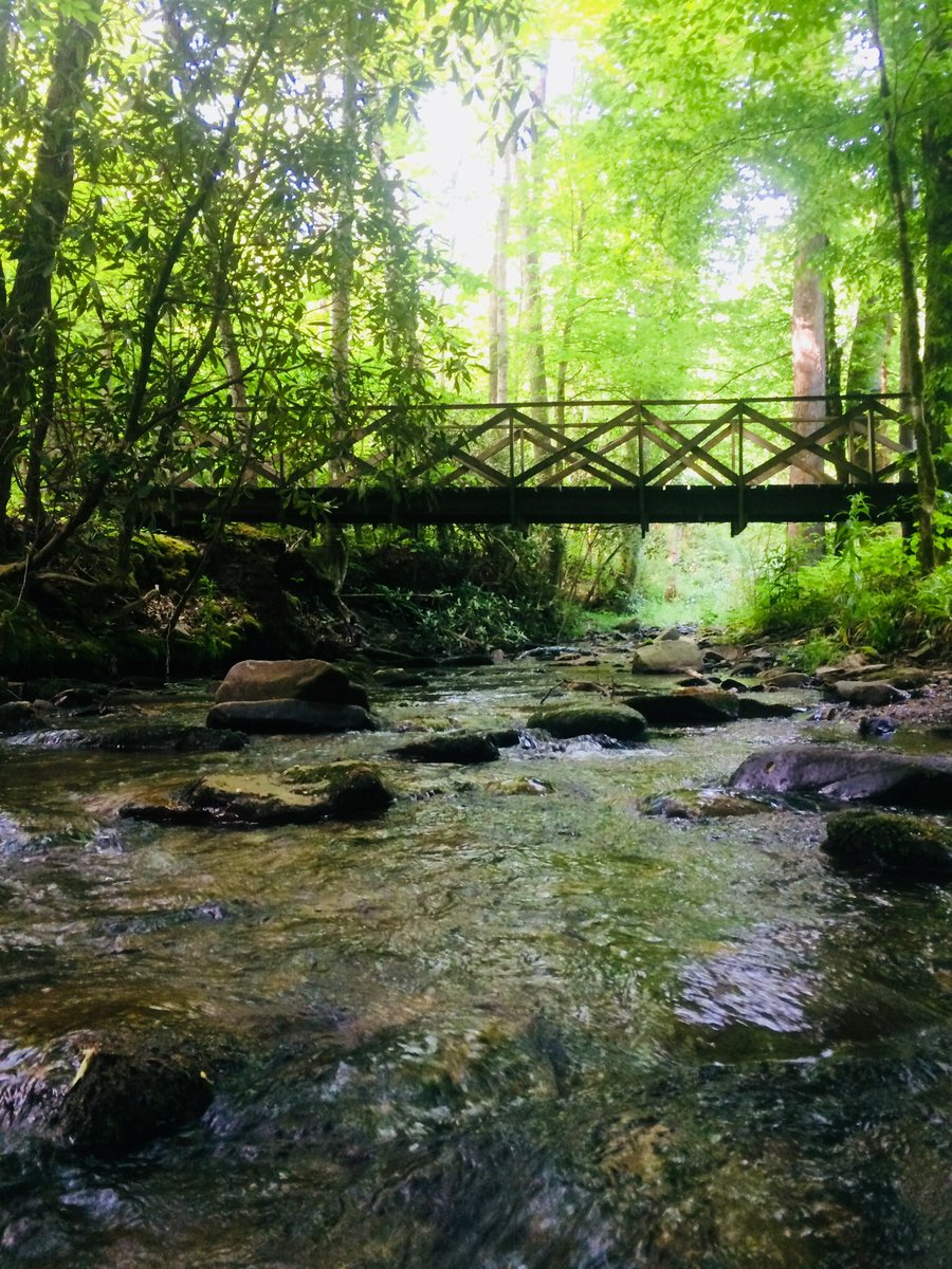 CousinsKatie's tweet image. Had an amazing time at staff training for SWO18! Now time to do work in Puebla, Mexico for the gospel! #byeamerica #Himbeglory