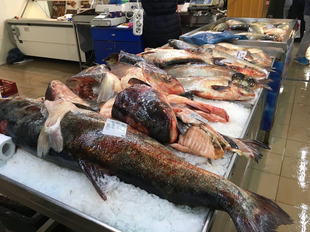 RoamingHotdish's tweet photo. Bucharest's main market was certainly the gnarliest in terms of fish and animals. Also the most colorful with all its produce. https://t.co/dYezO0Aomg  #romania #travel #traveltheworld #seetheworld #ontheroad #bucketlist #bucuresti  #wanderlust #explore #travelblogger https://t.co/HekZBFRMzY