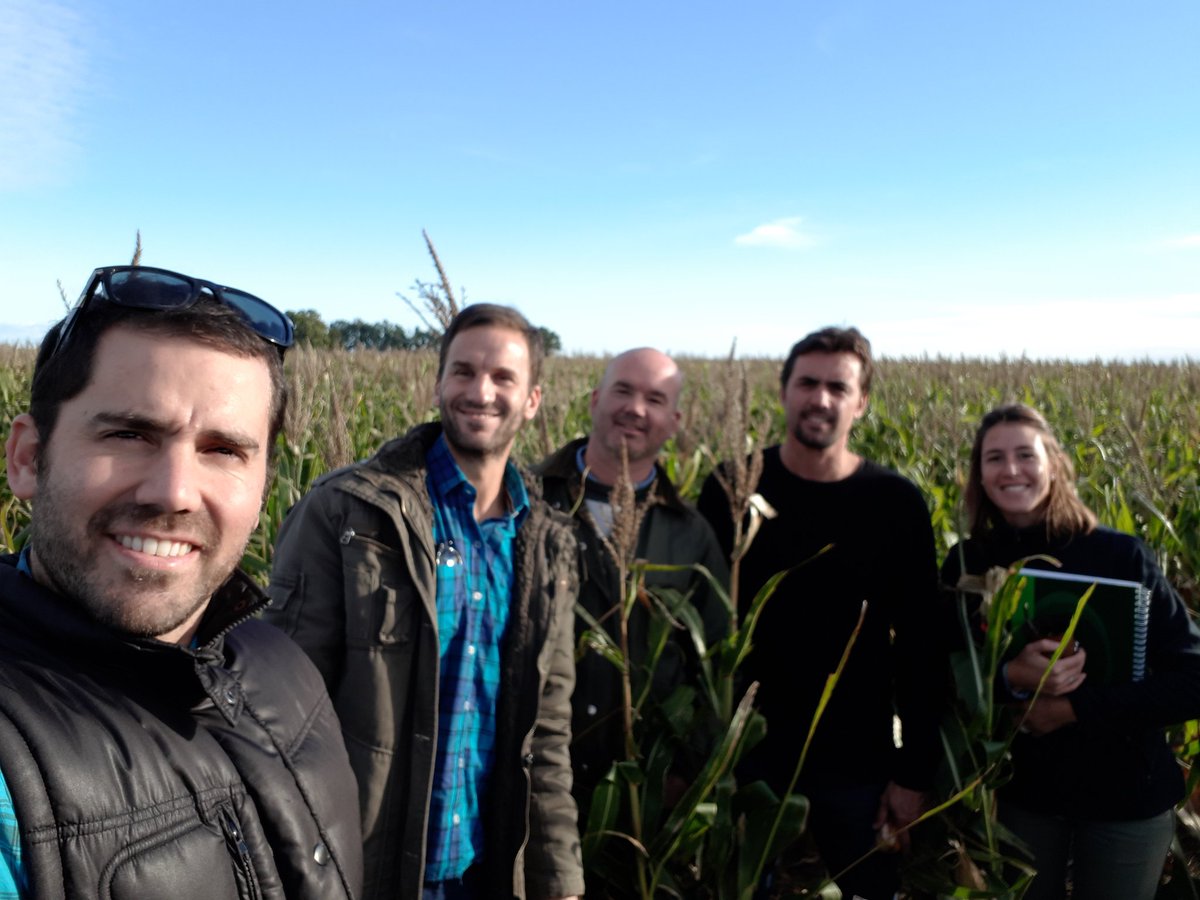 luzmossoban's tweet photo. Recorrida de ensayos de maíz en Coronel Dorrego #Syn875vip3 #Syn848vip3 https://t.co/wjofLz7l7u