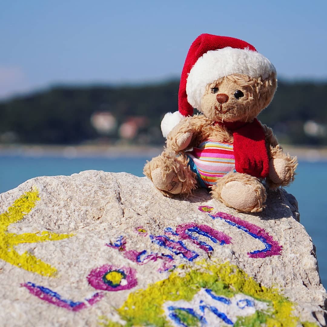bubithebear's tweet photo. Hmmm to swim 🏊 or not to swim 😌? I'm having a great time in #malilosinj, enjoying the #sea, sun and the nature 😊. 

#losinj #go2losinj #traveler #traveling #croatiafulloflife #losinjmoments #golosinj #bukowskidesign #bubithebear https://t.co/DYCCQSiaIG