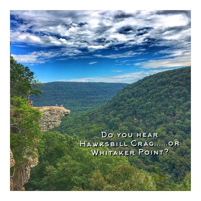 HawksbillCrag's tweet photo. TBT - What do you hear? #adventureisoutthere #arkansaslife #arkansasoutdoors #arkansastraveler #buffaloriver #buffalonationalriver #explorearkansas #findyouradventure #findyournowhere #getoutside #hikingadventures #hawksbillcragoutdoors #igarkansas #land… https://t.co/Sp98pNsqVe https://t.co/p1FcUceR2o