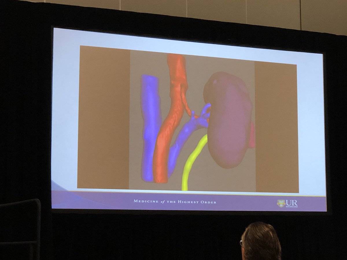 DrJeanJoseph's tweet photo. Congratulations Dr Ghazi-great présentation at society of academic urologists on patient specific simulation-Strong work https://t.co/PmCXaGldPw