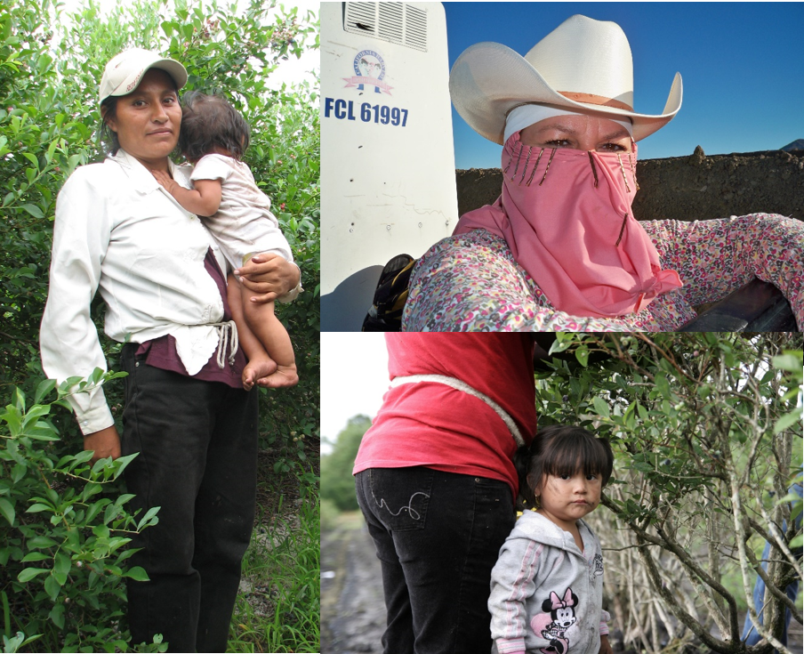 CIFCampaign's tweet photo. Happy National #WomensHealth Week! 👩👧👦 Read our new blog about protecting new life - and future #ChildrenInTheFields.
#expecttheunexpected https://t.co/F4wnQyfr9k https://t.co/yJ3uuPg1xN