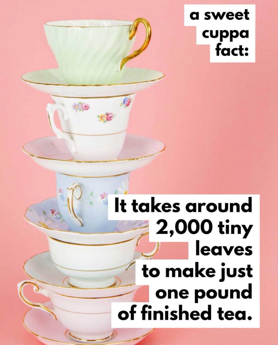 SweetCuppaTea's tweet photo. #SweetCuppaFact of the day! https://t.co/me7H1X9a9P
