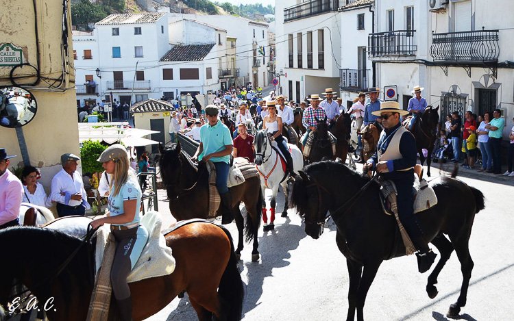 MartosDirecto's tweet photo. 🚨🚨 ATENCIÓN CABALLISTA 🐴 | El consistorio cita a los caballistas para explicarles la normativa de la Romería
📅 21 MAYO 
🕔 19:00H
📍 CASA DE LA JUVENTUD 
https://t.co/l6gsNuX0LZ https://t.co/q2lpz5FHYD