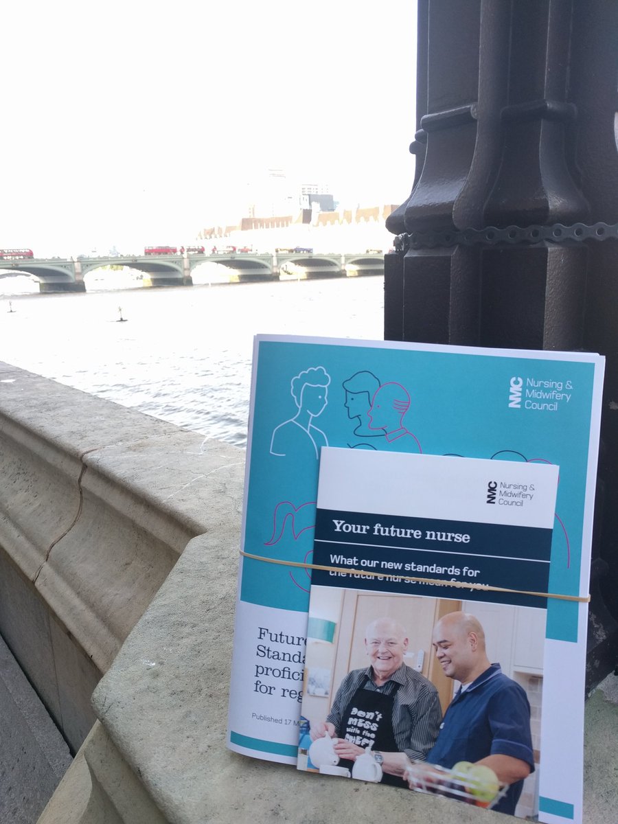 Launch of the new NMC standards, at the House of Commons!